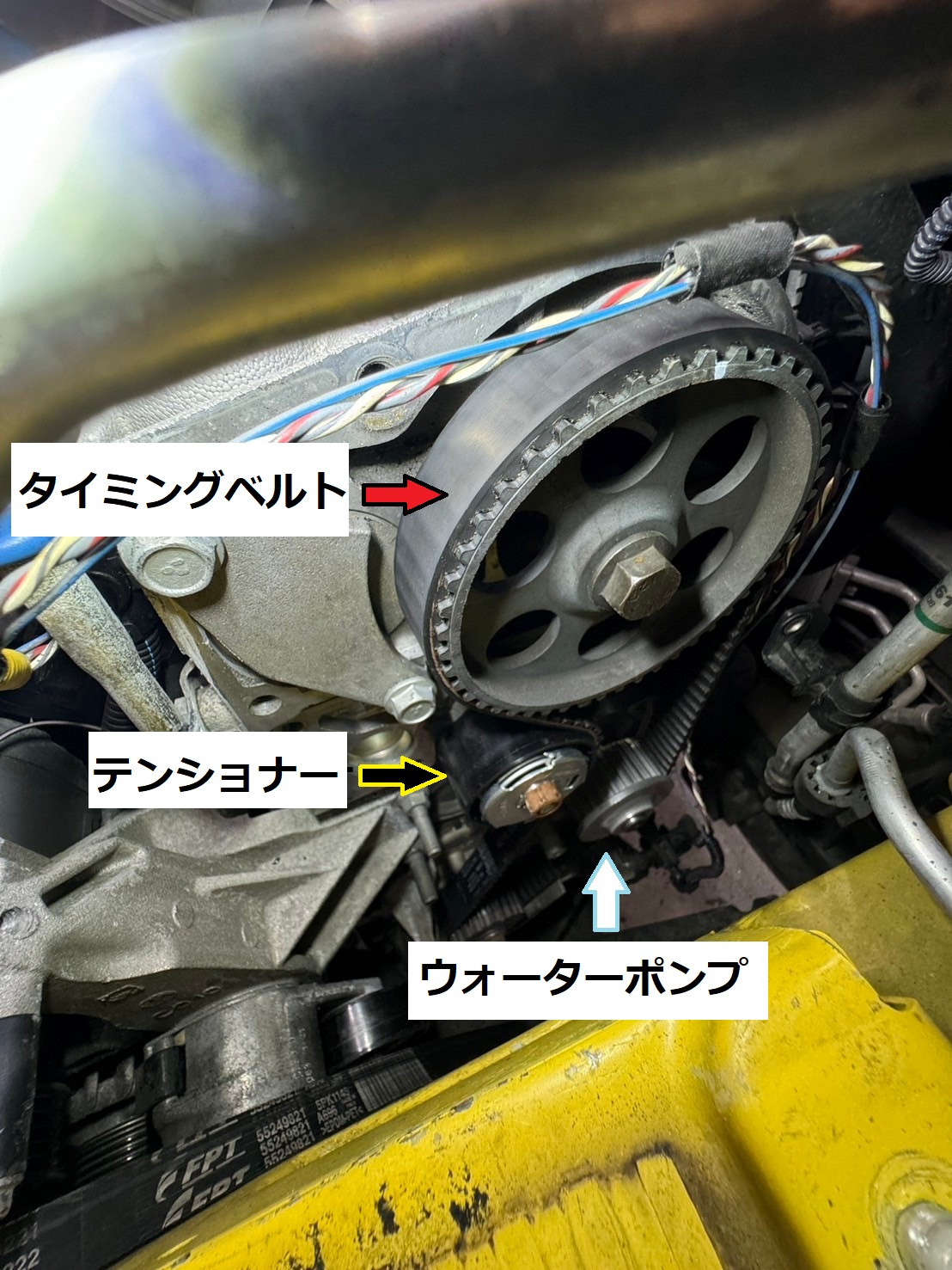 LINE_ALBUM_Fiat素材_240815_102.jpg